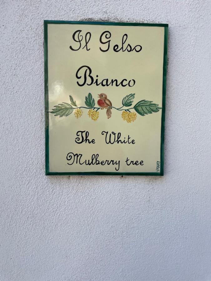 Il Gelso Bianco -The White Mulberry Tree Villa Ravello Eksteriør billede